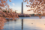 visit-dc-featured