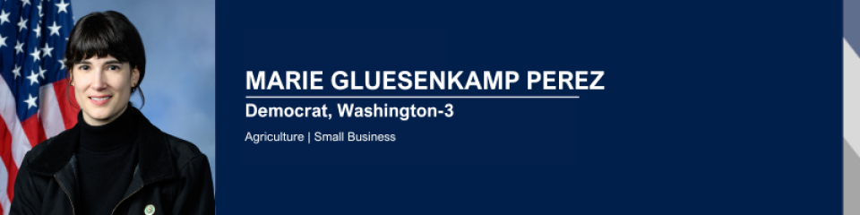 Rep. Gluesenkamp Perez