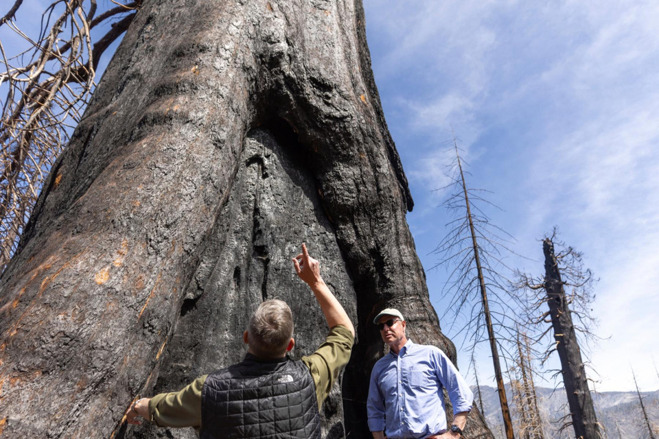 SP.Stop1.3_home featured