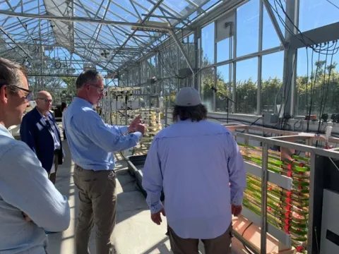 SHP greenhouse touching a spiral_Social